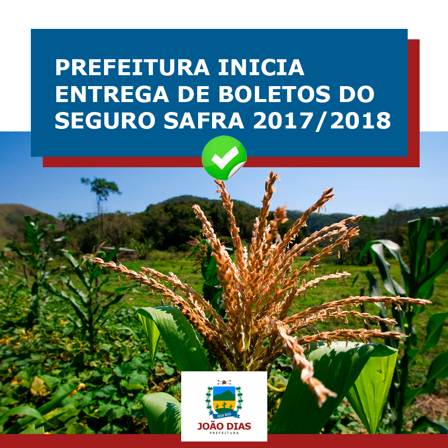 Prefeitura Municipal De Jo O Dias Inicia Entrega De Boletos Do Seguro