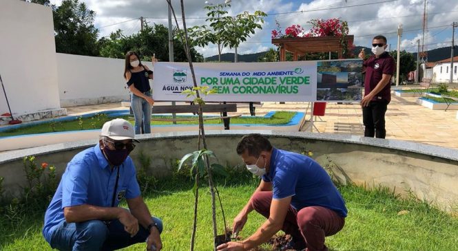 A Secretaria de Meio Ambiente, através da Prefeitura de Água Nova/RN, promoveu o plantio na Praça Prefeita Maria Vanda, dando início a Semana Municipal do Meio Ambiente