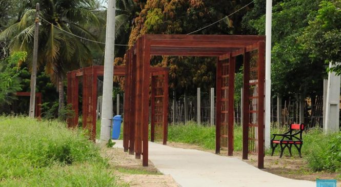 Caramanchões são instalados e obras de reestruturação do Parque Municipal seguem em andamento em Mossoró