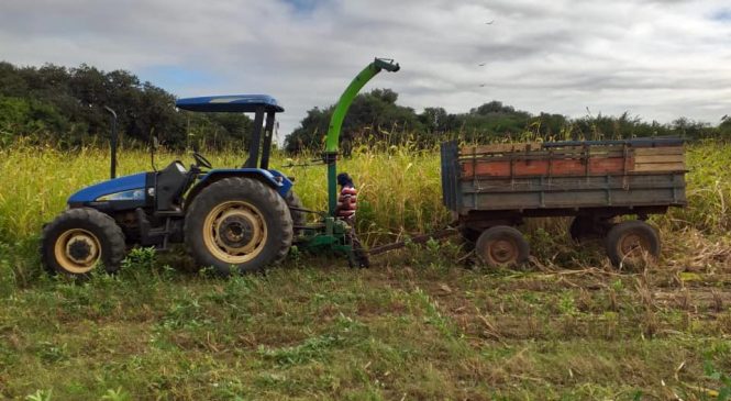 Prefeitura de Rafael Godeiro/RN, intensifica o apoio aos agricultores do município