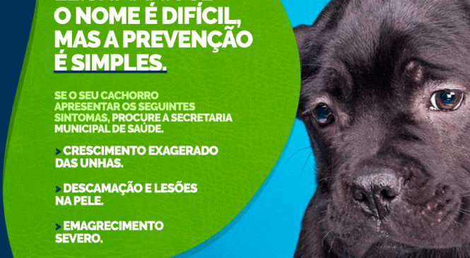 Prefeitura municipal de Pilões/RN, alerta sobre o combate a Leishmaniose visceral Canina