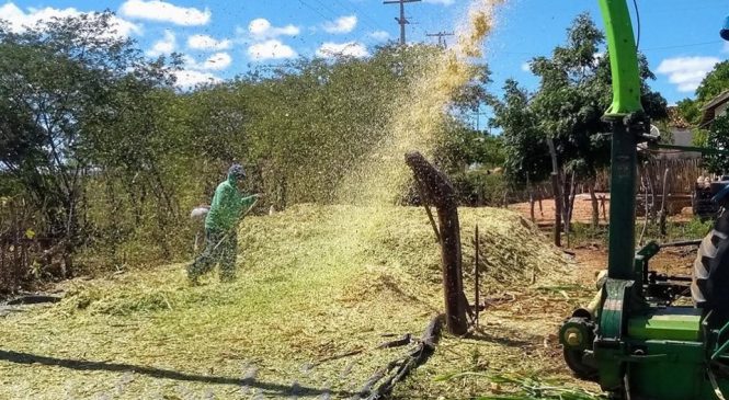 Destaque na produção e conservação de forragens na cidade de Rafael Godeiro/RN