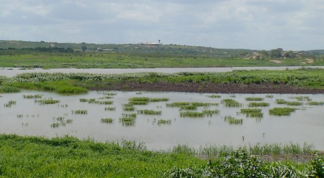 Alto Oeste tem 6 cidades em colapso, barragem de Pau dos Ferros terá água até início do próximo ano