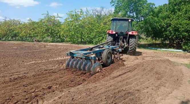 A Secretaria de Desenvolvimento Rural iniciou, nesta semana, o Programa Corte de Terra (PCT), que beneficiará produtores rurais do município de Pau dos Ferros/RN