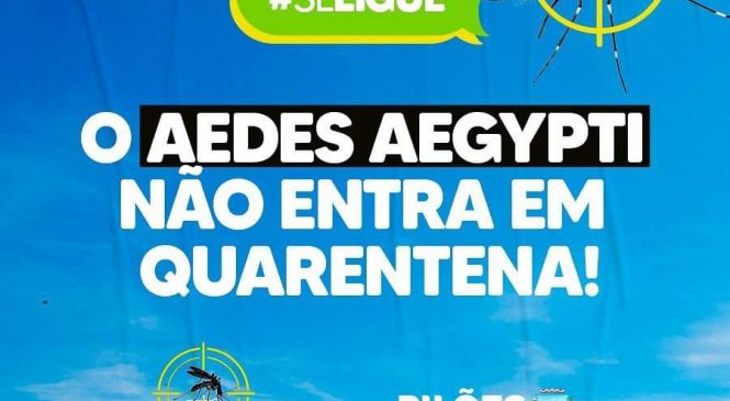 Prefeitura Municipal de Pilões/RN, faz alerta sobre cuidados com o Aedes Aegypti no município