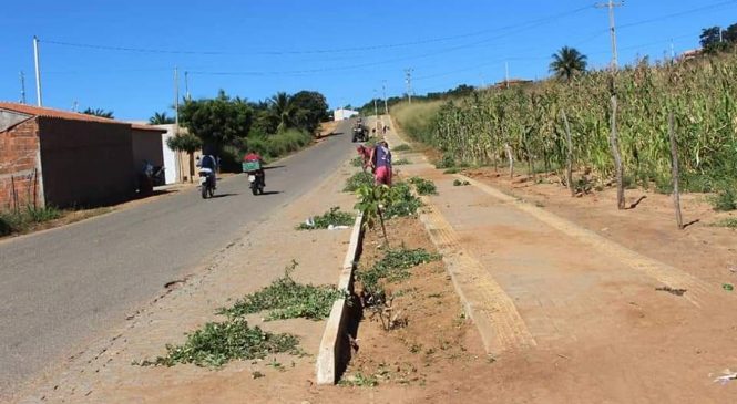 A Prefeitura de Venha-Ver, por meio da Secretaria Municipal de Obras e Serviços Urbanos, continua fortalecendo o processo de limpeza e manutenção do município