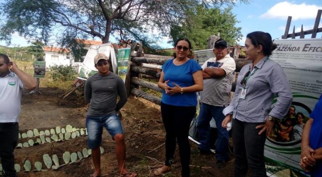 Secretaria de Agricultura promove “Dia No Campo” em Frutuoso Gomes, com distribuição de palmas para bovinocultores