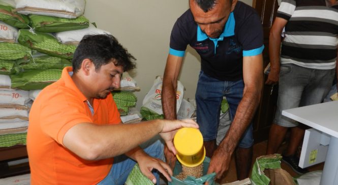 Distribuição de sementes garante renda de agricultores