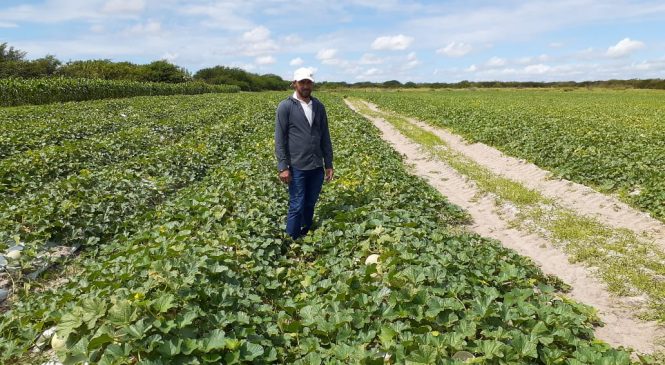 JOVEM AGRICULTOR É A PROMESSA DA POLÍTICA OLHODAGUENSE